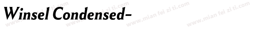 Winsel Condensed字体转换